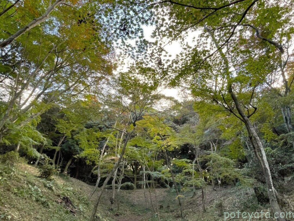 日長神社の紅葉谷を下から見る