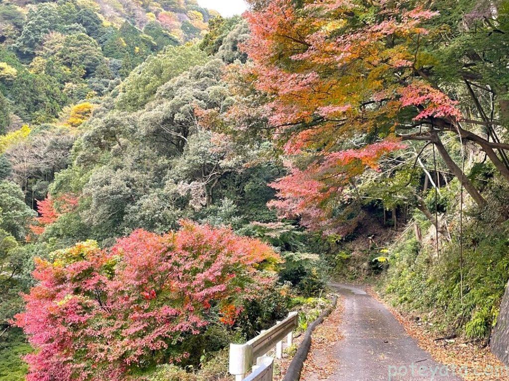 行基寺へ行くまでの景色