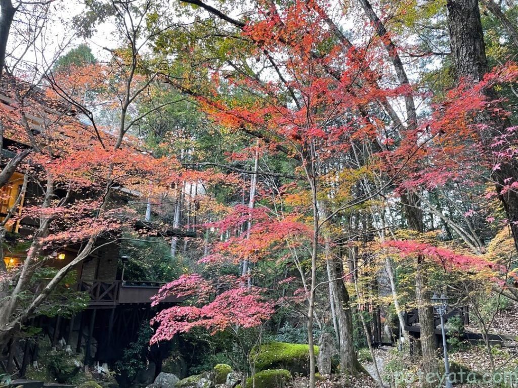 鬼岩温泉にあるカフェ