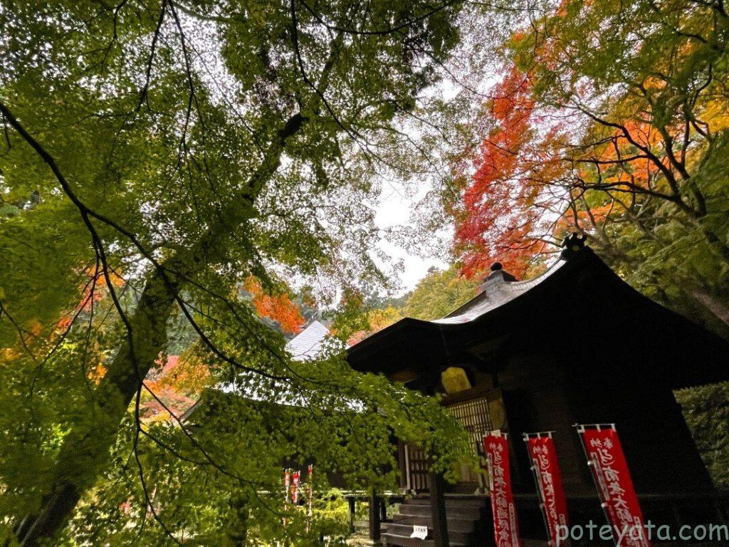 普門寺の大師堂と青もみじ