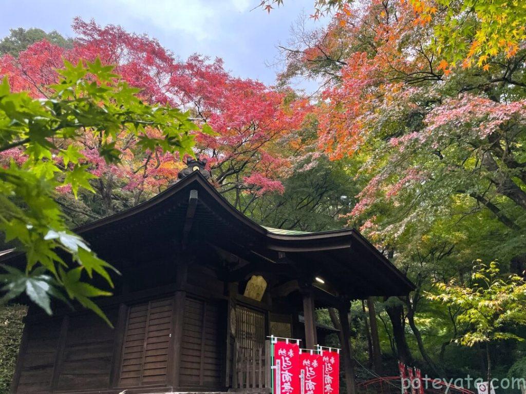 普門寺の大師堂と紅葉