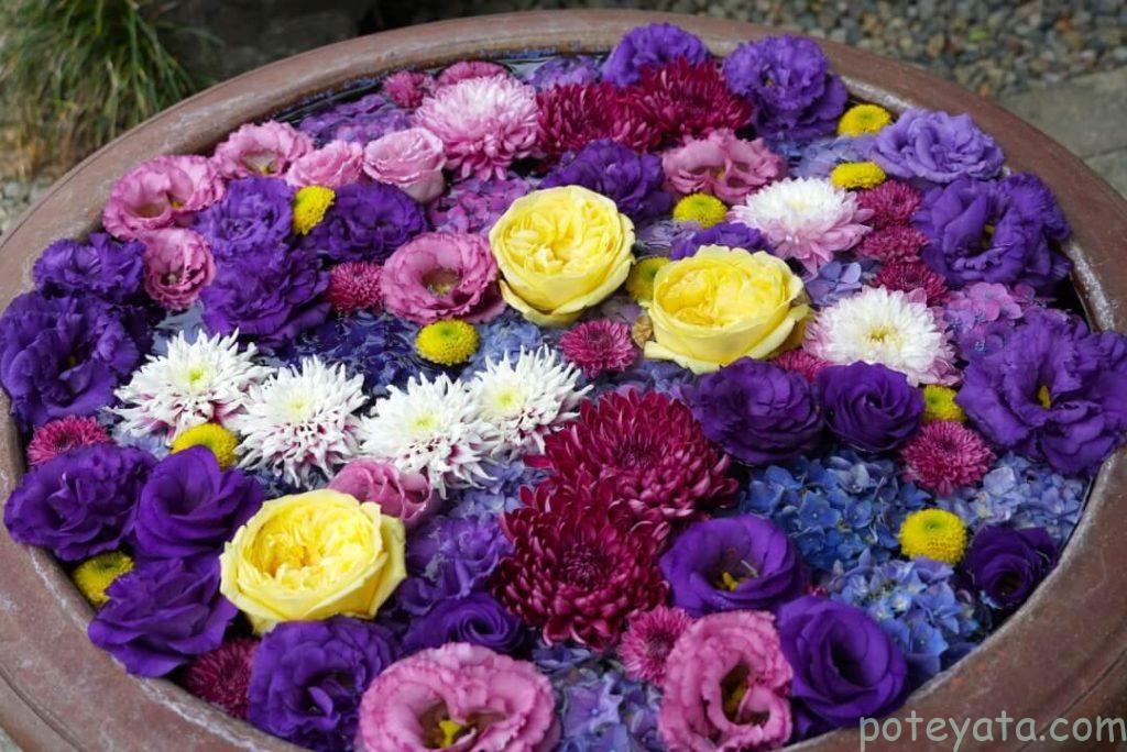 水に浮かぶ色とりどりの花