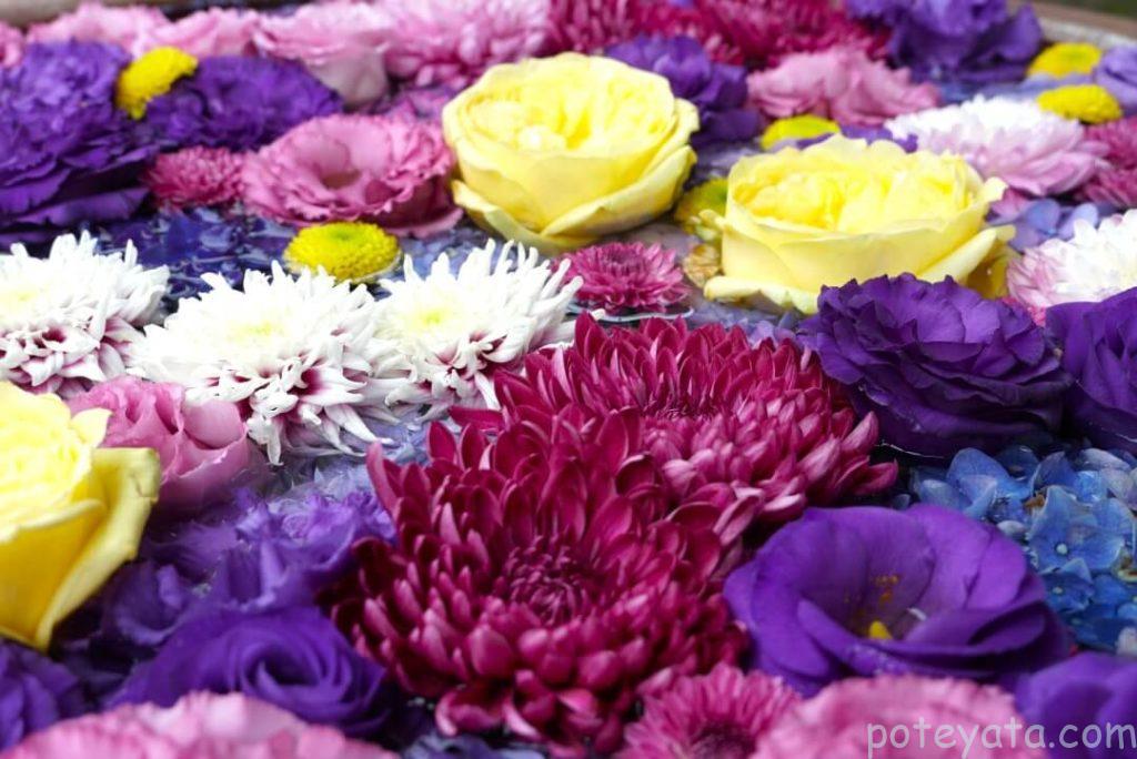 常念寺にある水桶に浮かぶ花