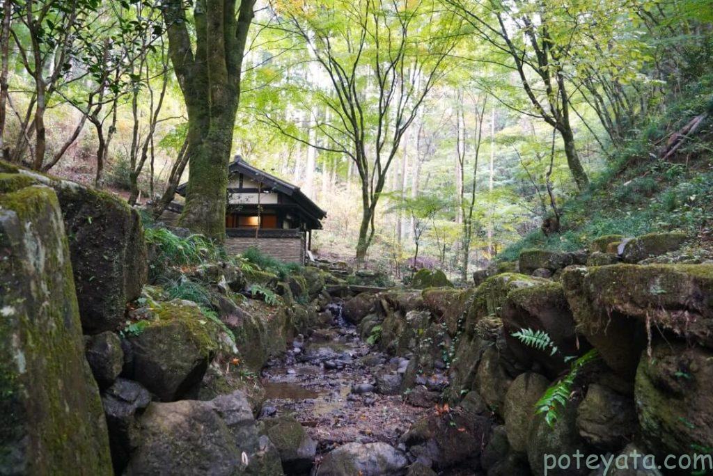 荒川豊蔵資料館の小川と紅葉の木