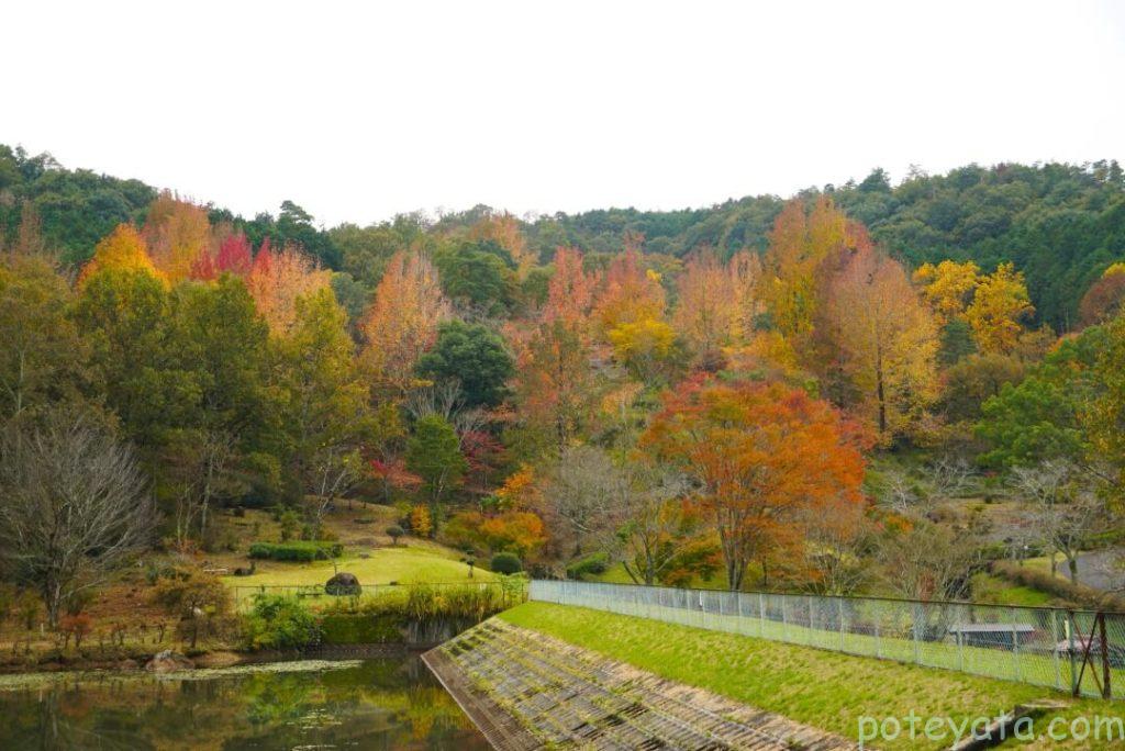 みたけの森にあるくれないの山