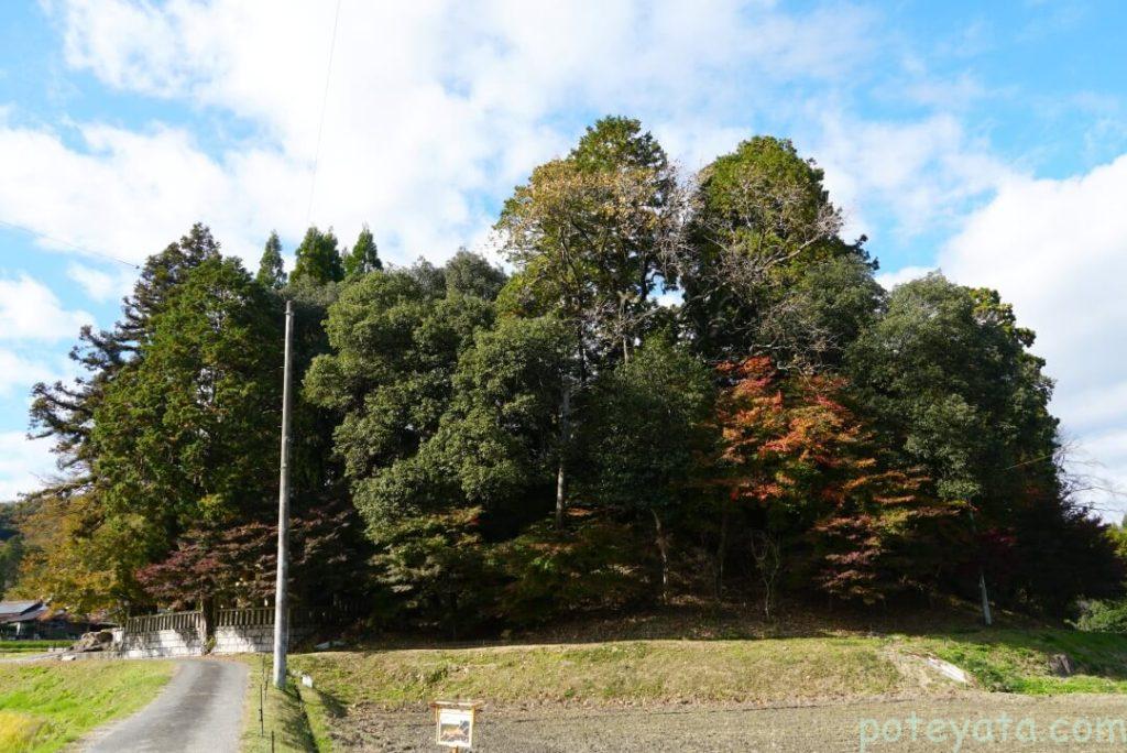 木瀬八柱神社の遠景