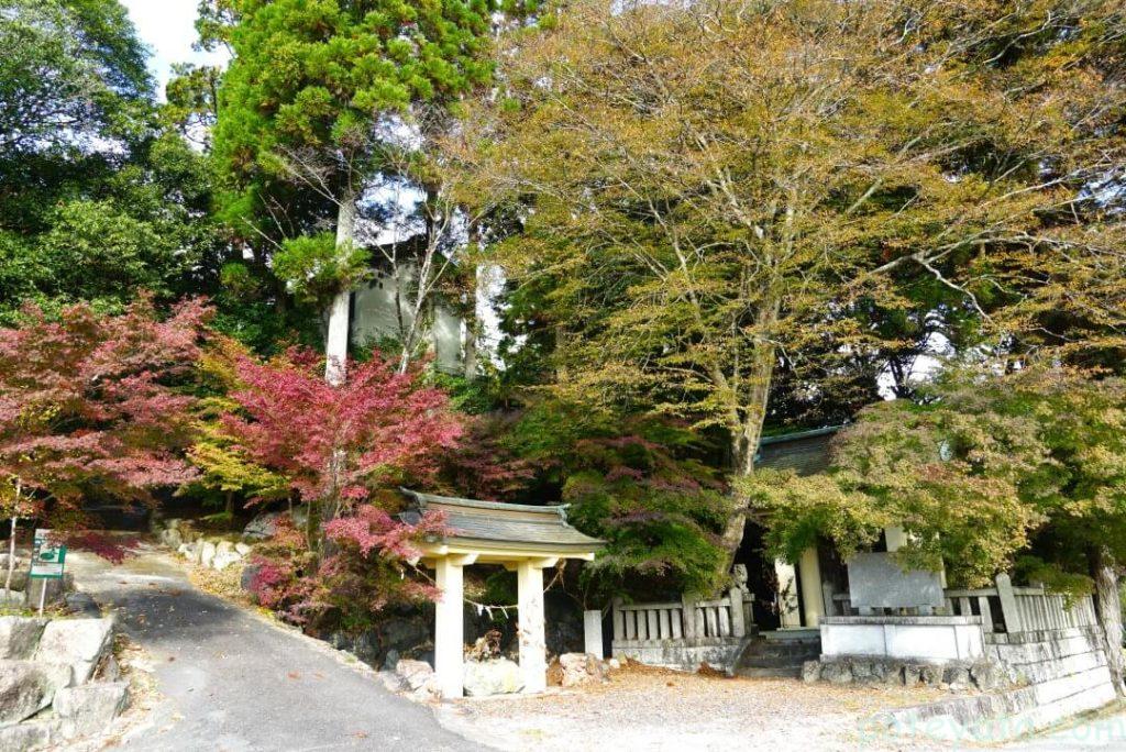 木瀬八柱神社の入り口の紅葉の様子