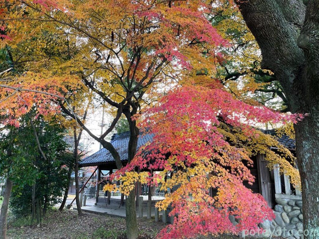 萬葉公園にある住吉社と紅葉