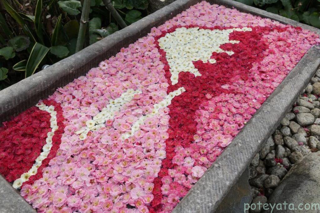 かざはやの里にある梅の花を浮かべた花手水
