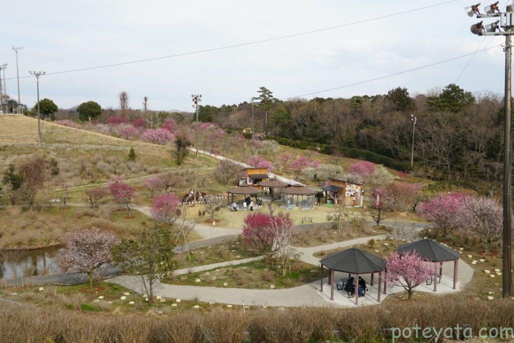 かざはやの里を高台から一望