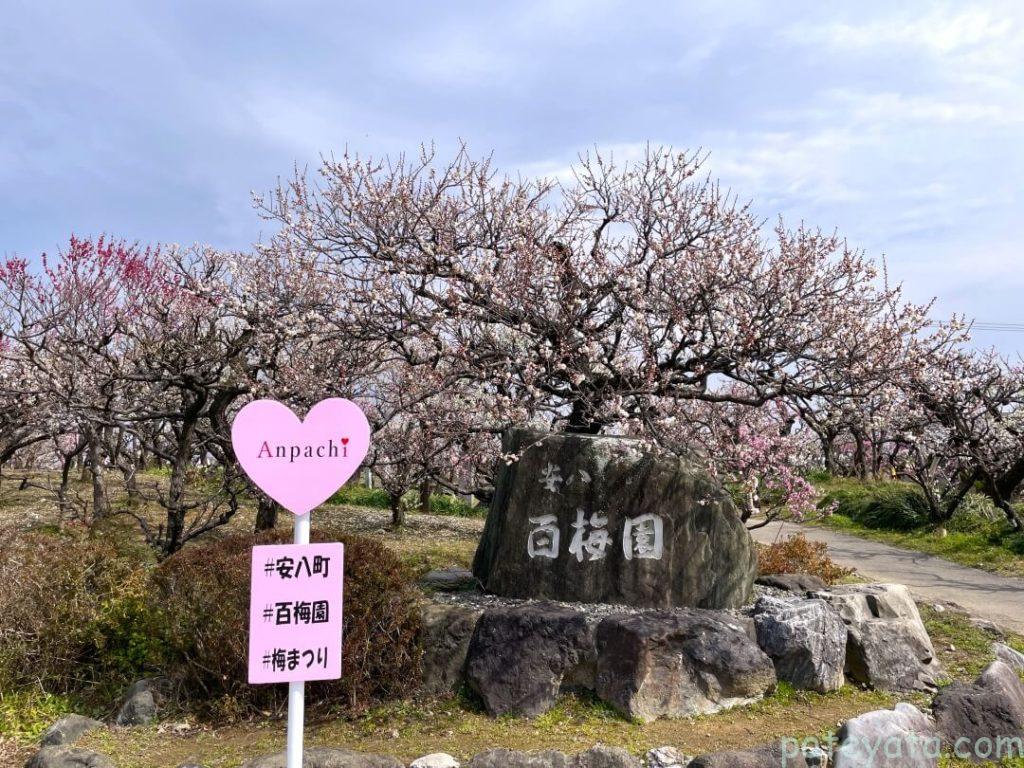 安八百梅園の石碑と梅の木