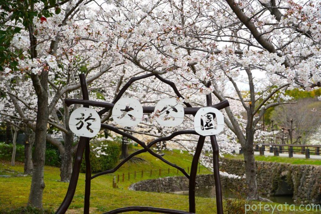 於大公園の看板とさくらの木