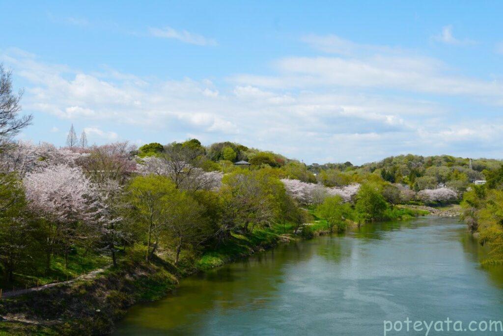 遠方から見た春の平戸橋公園
