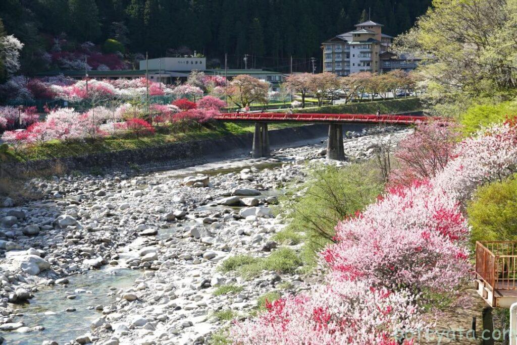昼神温泉に架かる赤い橋と花桃
