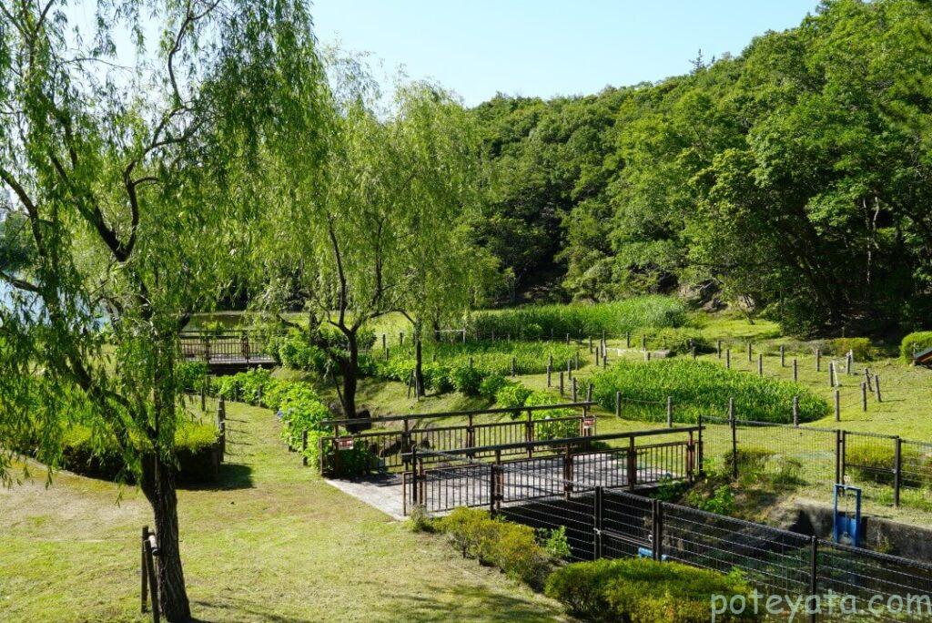 愛・地球博記念公園にあるあじさい園