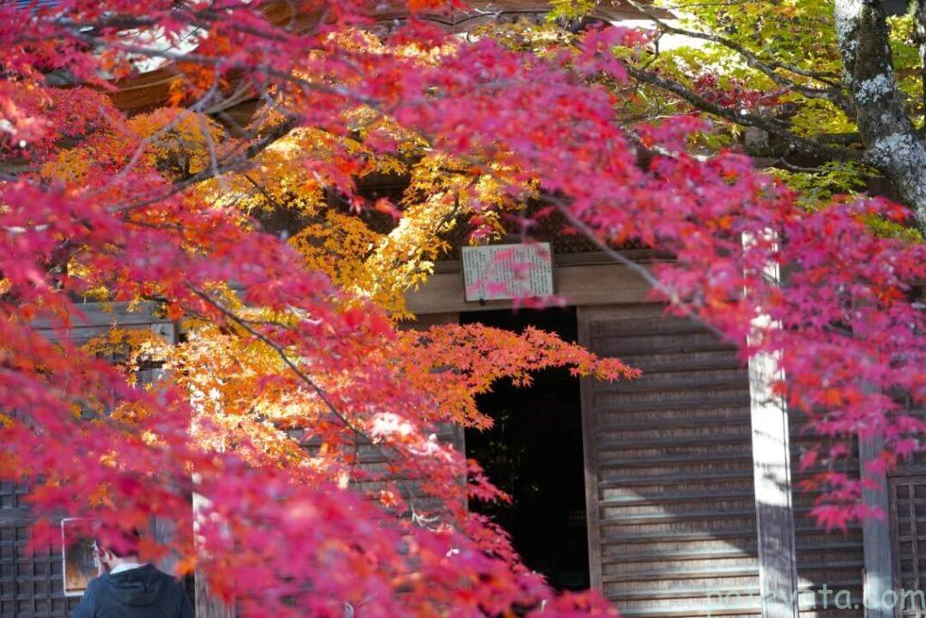 永源寺の建物と紅葉