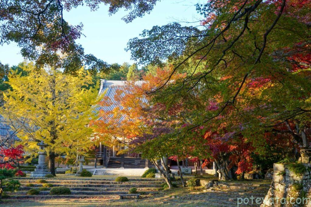東光寺の境内と紅葉