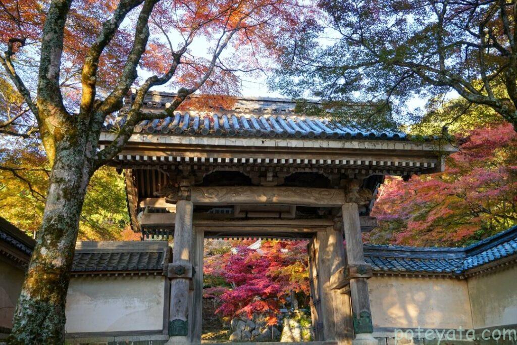 東光寺の山門と紅葉