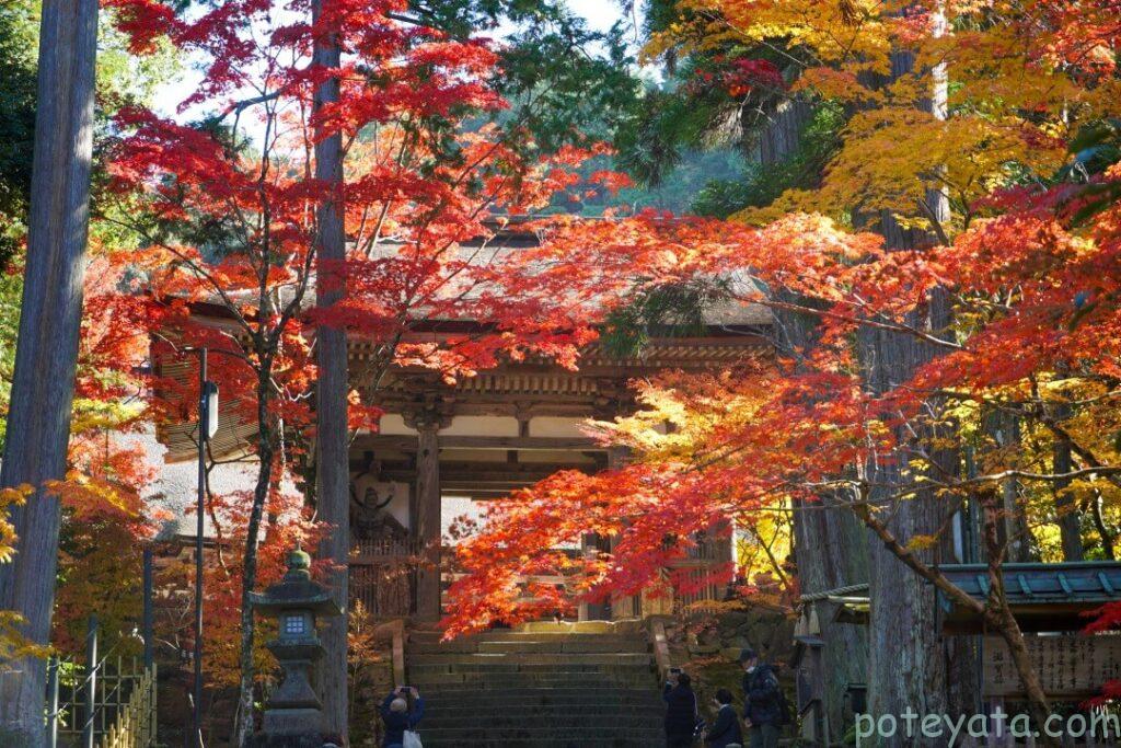 紅葉に埋もれる西明寺の二天門