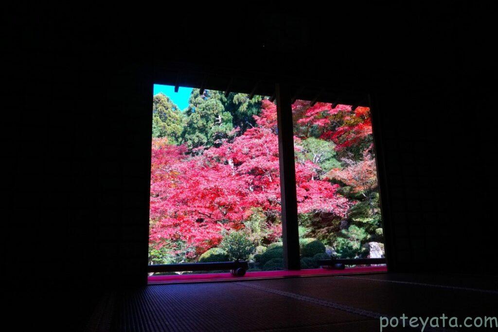 茶室の中から見た金剛輪寺の庭園の紅葉