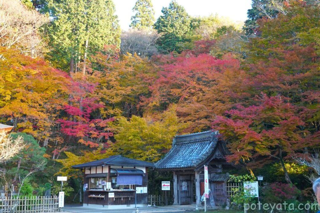 百済寺の入り口を彩る紅葉