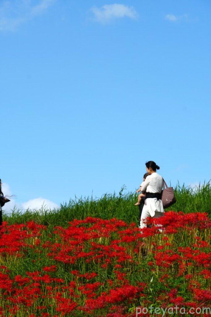 津屋川の堤防を歩く人
