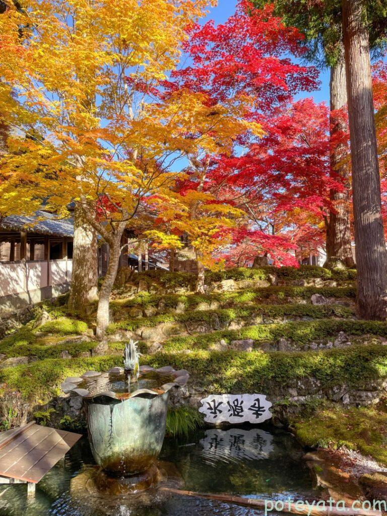 紅葉に映える永源寺の逆さ文字