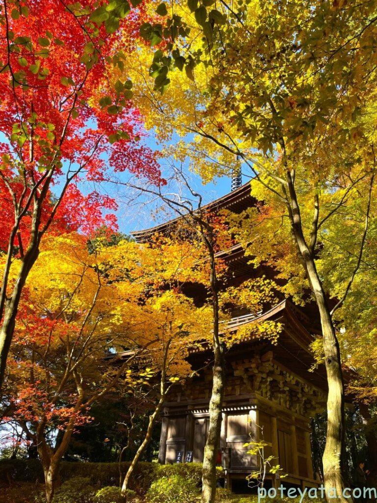 金剛輪寺の三重塔を下から見上げる