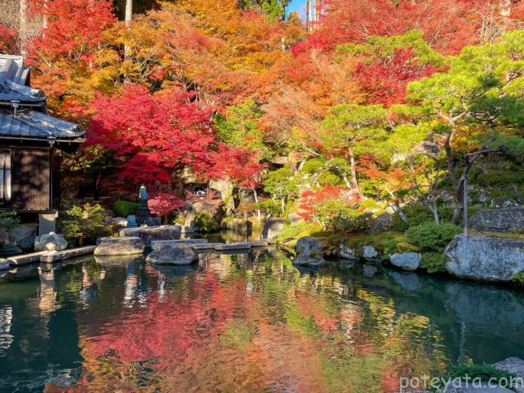 百済寺の庭園と紅葉