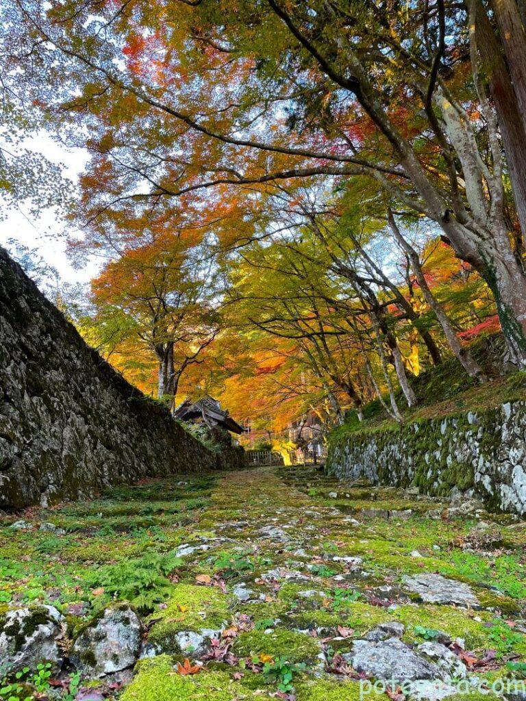 百済寺の石畳と紅葉