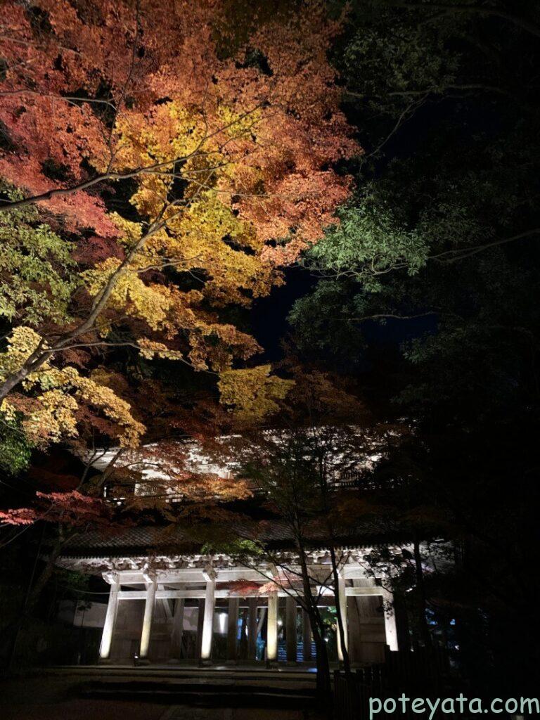 ライトアップされる紅葉時期の永源寺山門