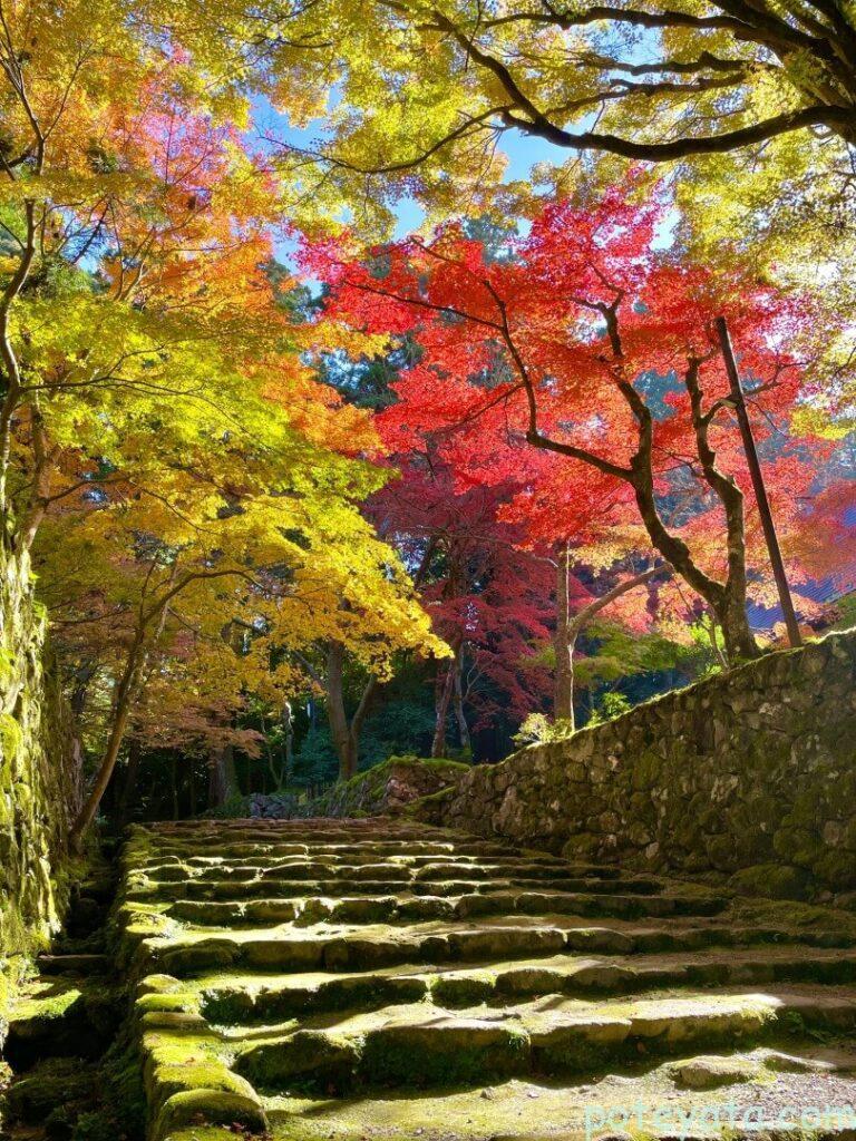 西明寺の石段と紅葉