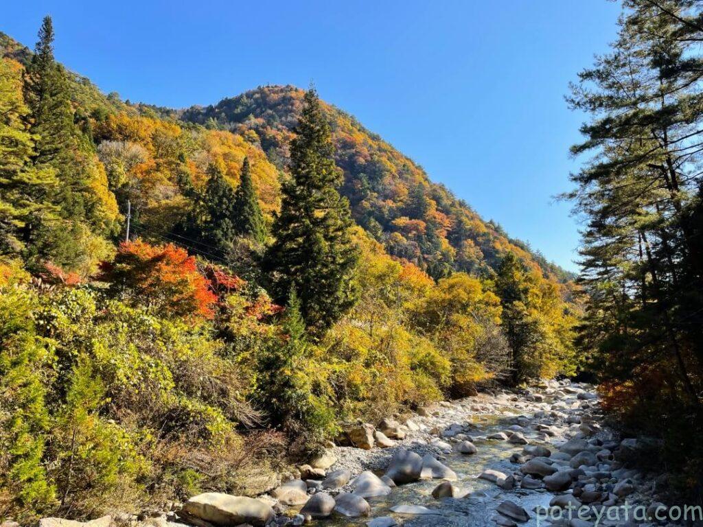 色付く柿其渓谷の山