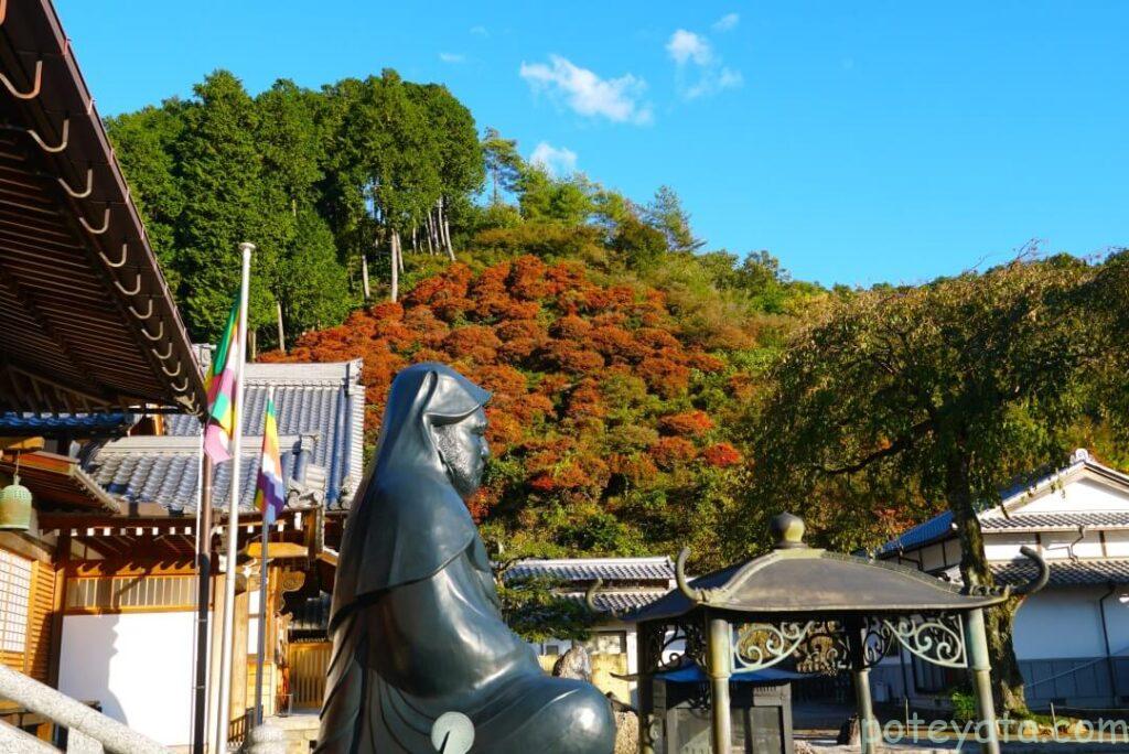 大龍寺の達磨像とドウダンツツジの紅葉
