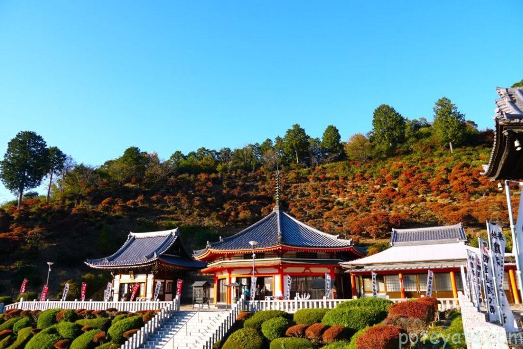 大龍寺の境内と秋の風景
